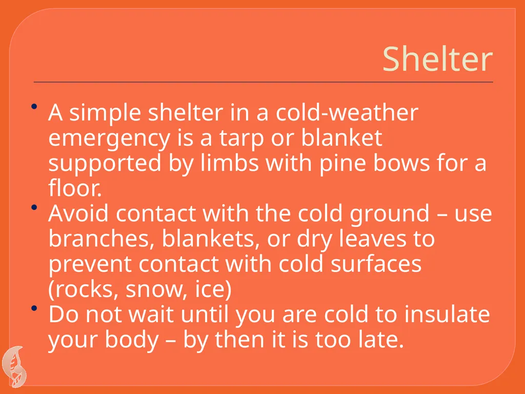 Wilderness Survival By C Kohn Waterford WI Basic - slide 23 of 29