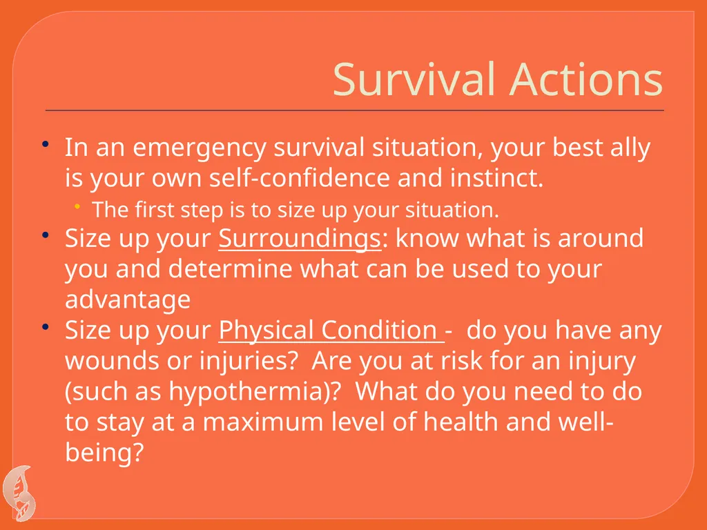 Wilderness Survival By C Kohn Waterford WI Basic - slide 4 of 29