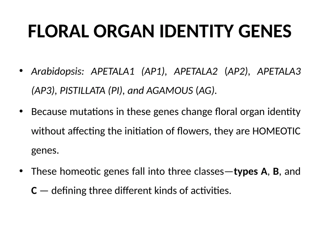 Flowering and its Regulation Prepared by Ashish - slide 12 of 39
