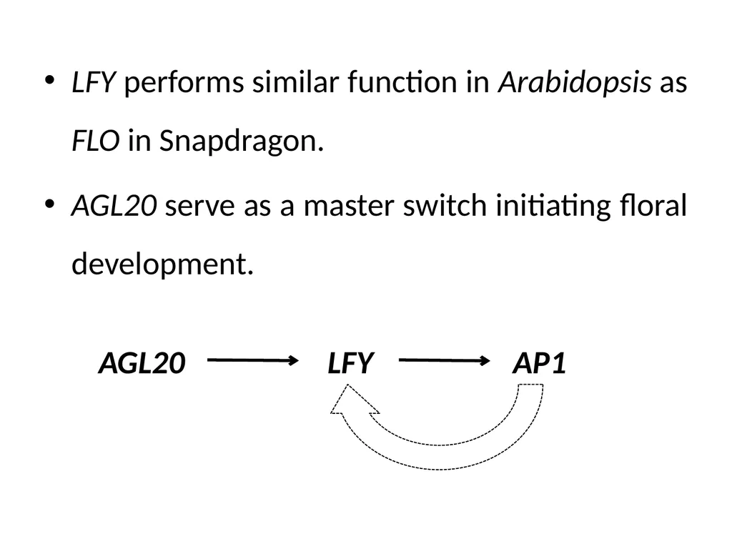 Flowering and its Regulation Prepared by Ashish - slide 11 of 39