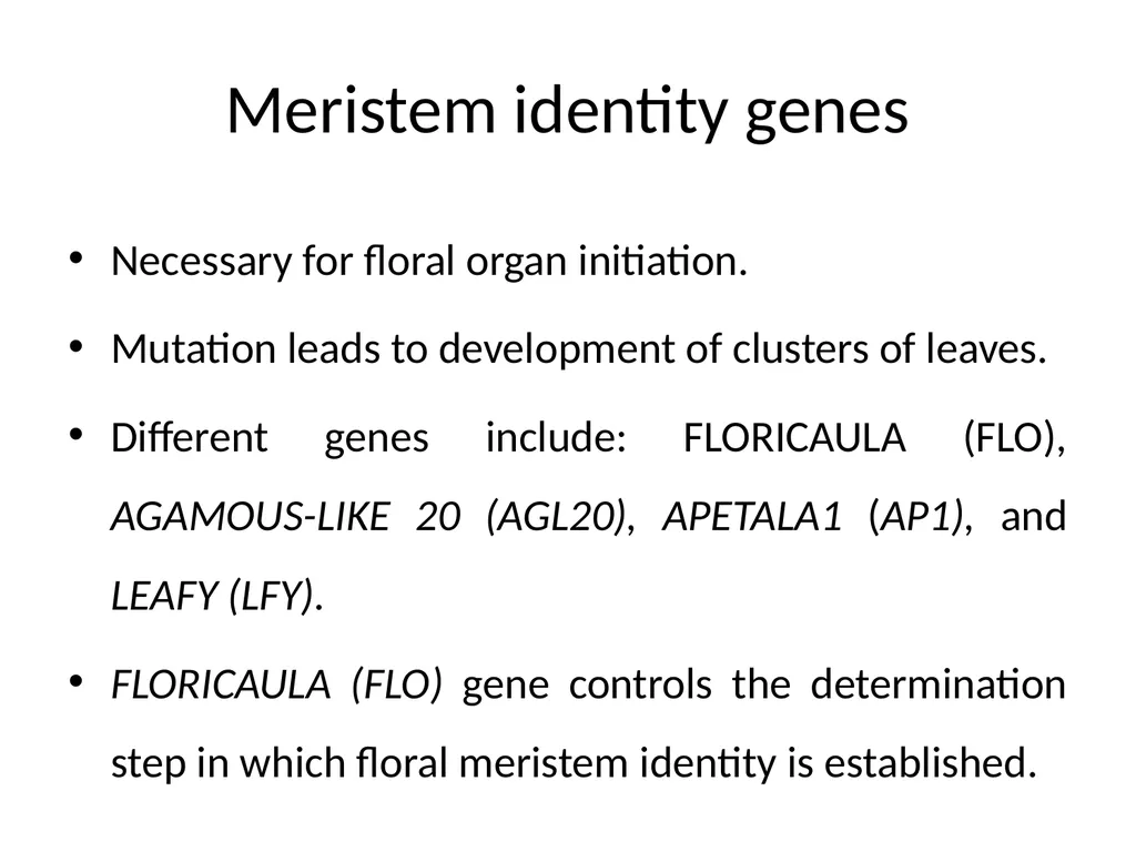 Flowering and its Regulation Prepared by Ashish - slide 10 of 39
