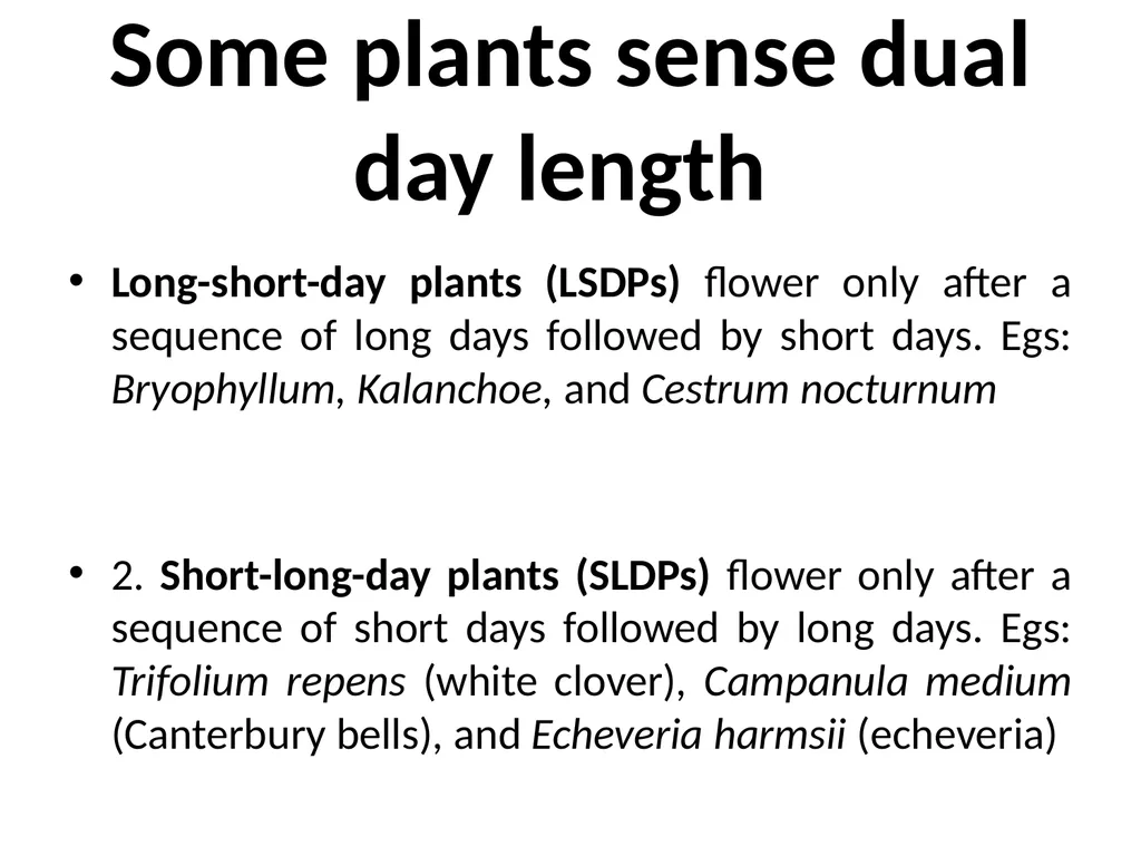 Flowering and its Regulation Prepared by Ashish - slide 31 of 39
