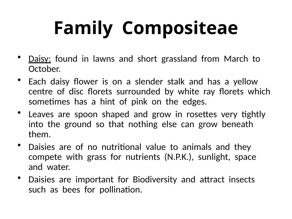 Plant Identification Plant Identification All - slide 26 of 48