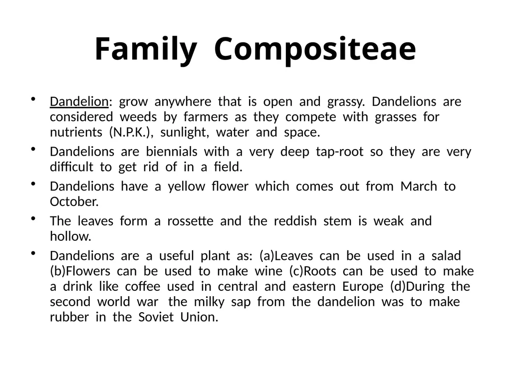 Plant Identification Plant Identification All - slide 28 of 48