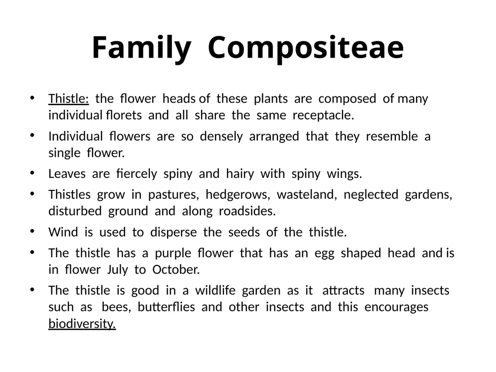 Plant Identification Plant Identification All - slide 30 of 48