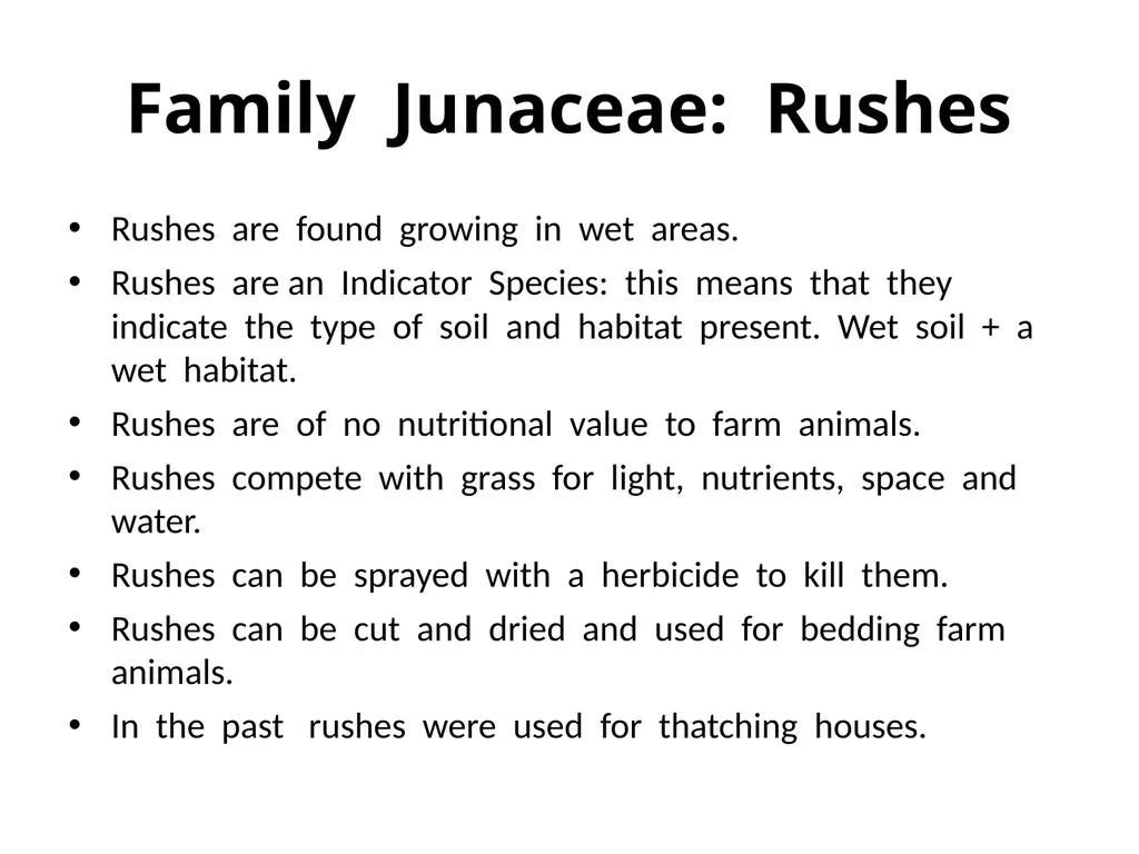 Plant Identification Plant Identification All - slide 47 of 48