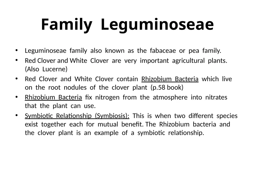 Plant Identification Plant Identification All - slide 33 of 48