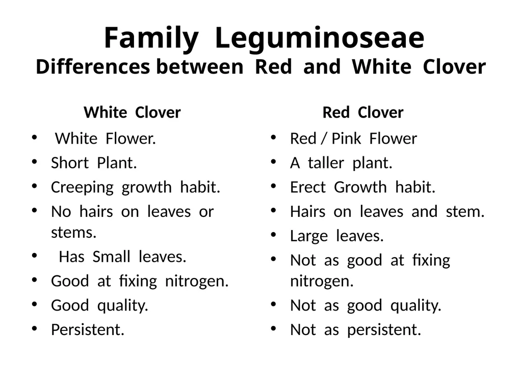 Plant Identification Plant Identification All - slide 42 of 48