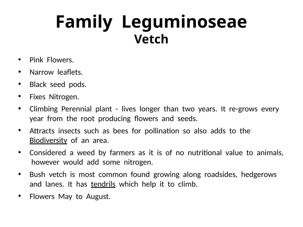 Plant Identification Plant Identification All - slide 44 of 48