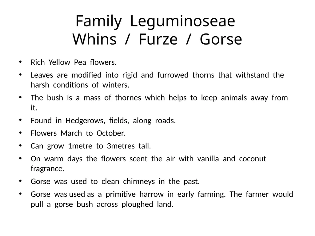 Plant Identification Plant Identification All - slide 46 of 48