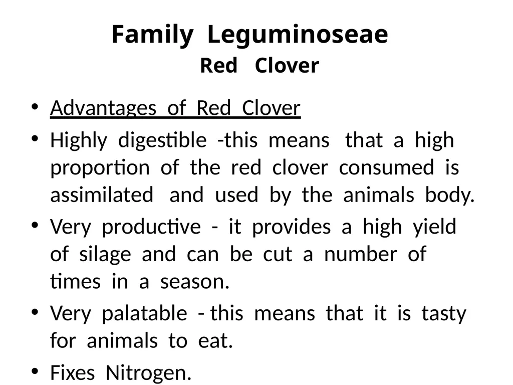 Plant Identification Plant Identification All - slide 37 of 48
