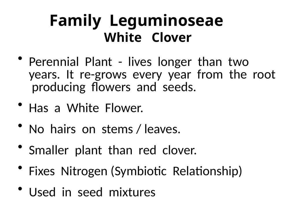 Plant Identification Plant Identification All - slide 39 of 48