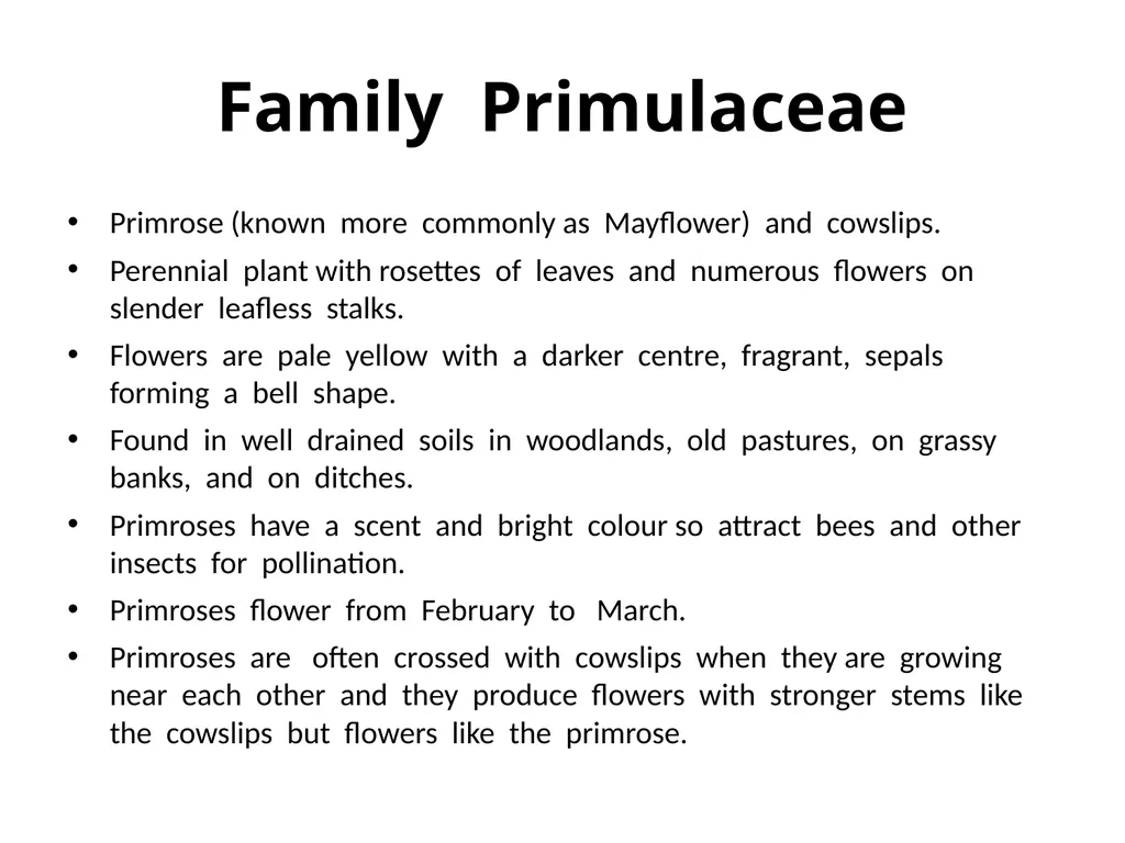 Plant Identification Plant Identification All - slide 32 of 48