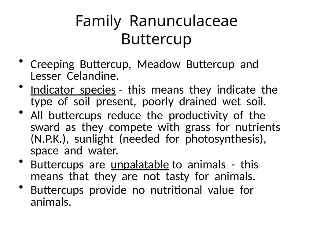Plant Identification Plant Identification All - slide 17 of 48
