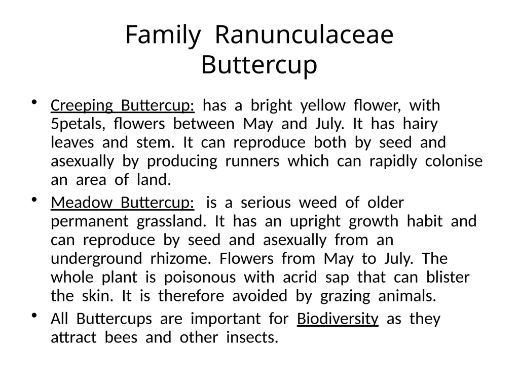 Plant Identification Plant Identification All - slide 18 of 48