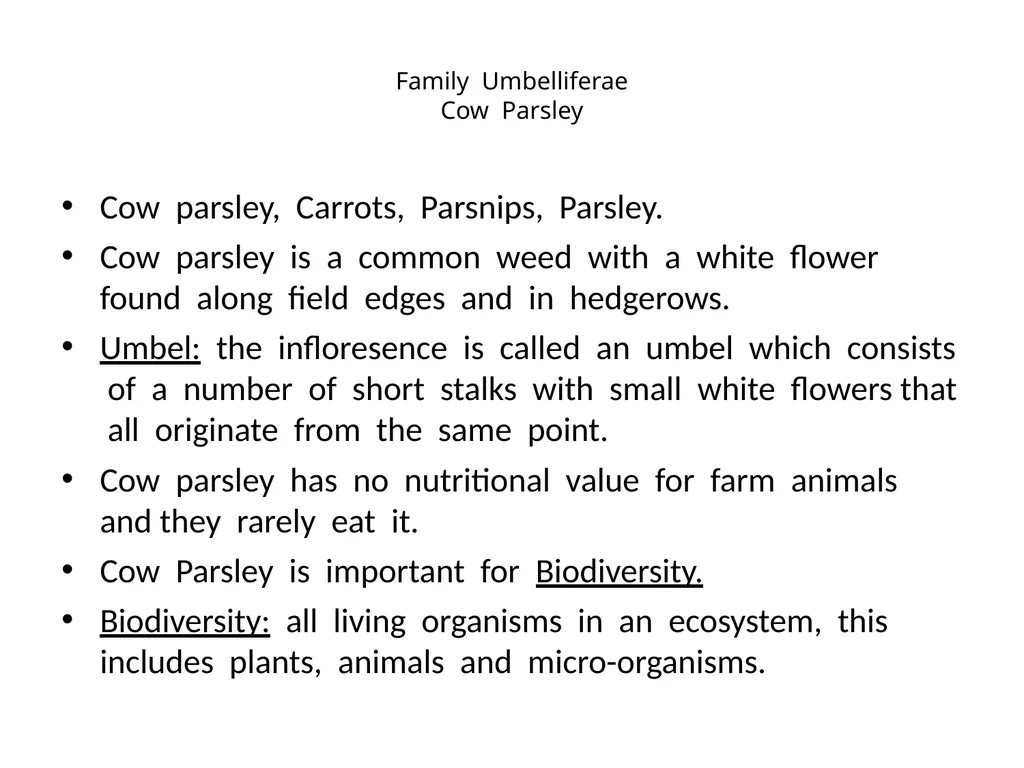Plant Identification Plant Identification All - slide 19 of 48