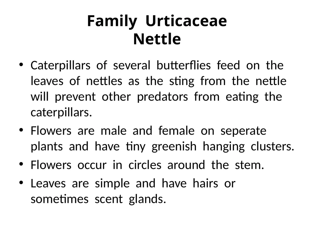 Plant Identification Plant Identification All - slide 23 of 48