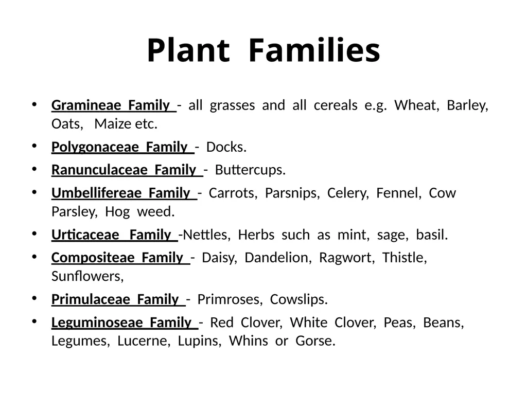 Plant Identification Plant Identification All - slide 3 of 48