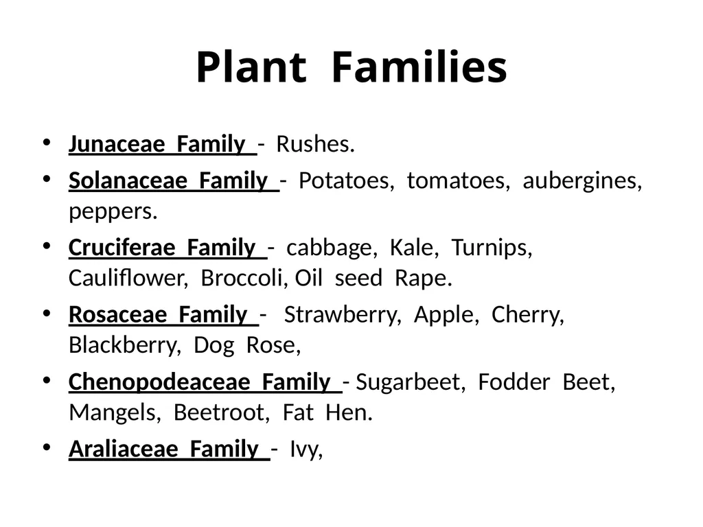 Plant Identification Plant Identification All - slide 4 of 48