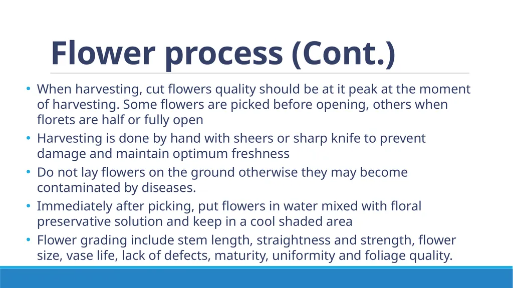 Flower Production in a Nursery Environment - slide 10 of 15