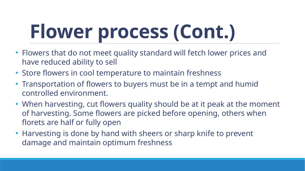 Flower Production in a Nursery Environment - slide 11 of 15