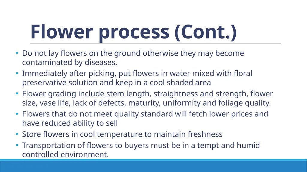 Flower Production in a Nursery Environment - slide 12 of 15