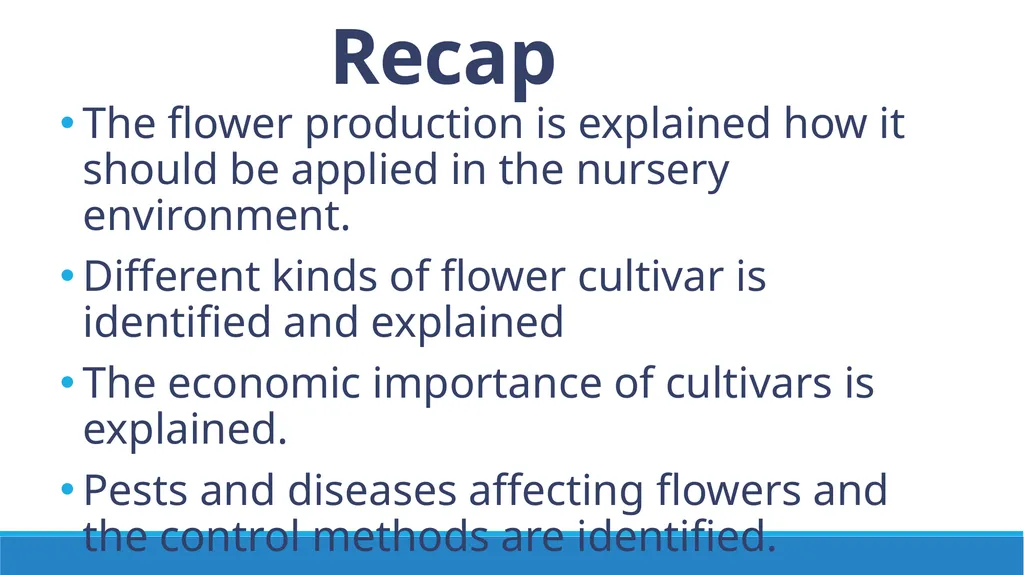 Flower Production in a Nursery Environment - slide 13 of 15