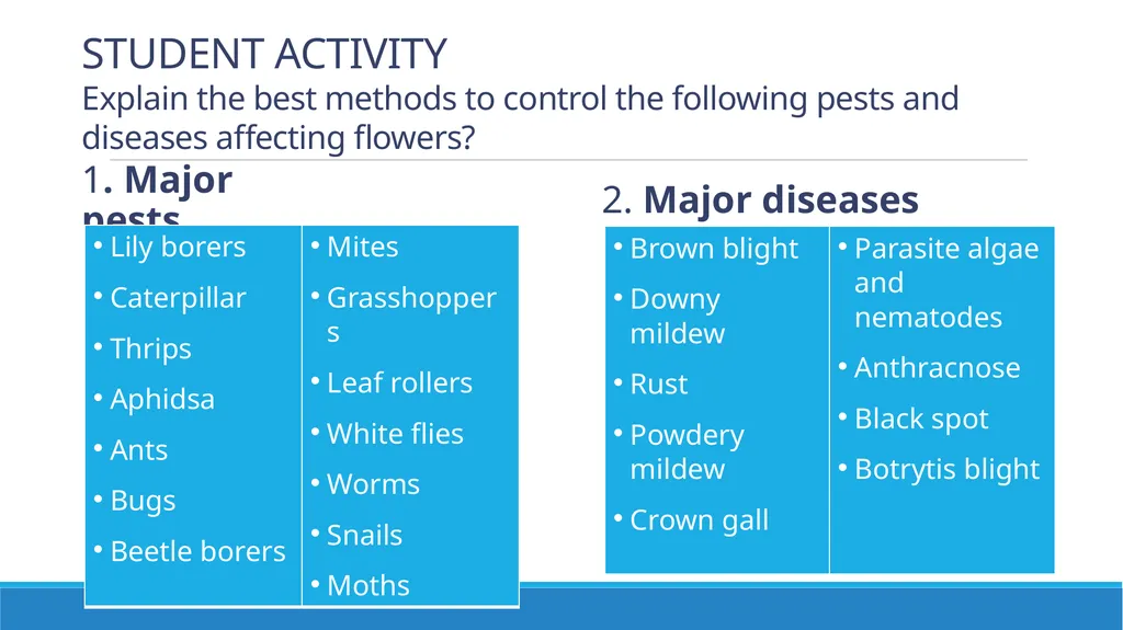Flower Production in a Nursery Environment - slide 14 of 15