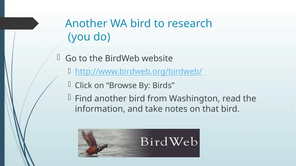 What makes a bird a native species? Write your - slide 7 of 17