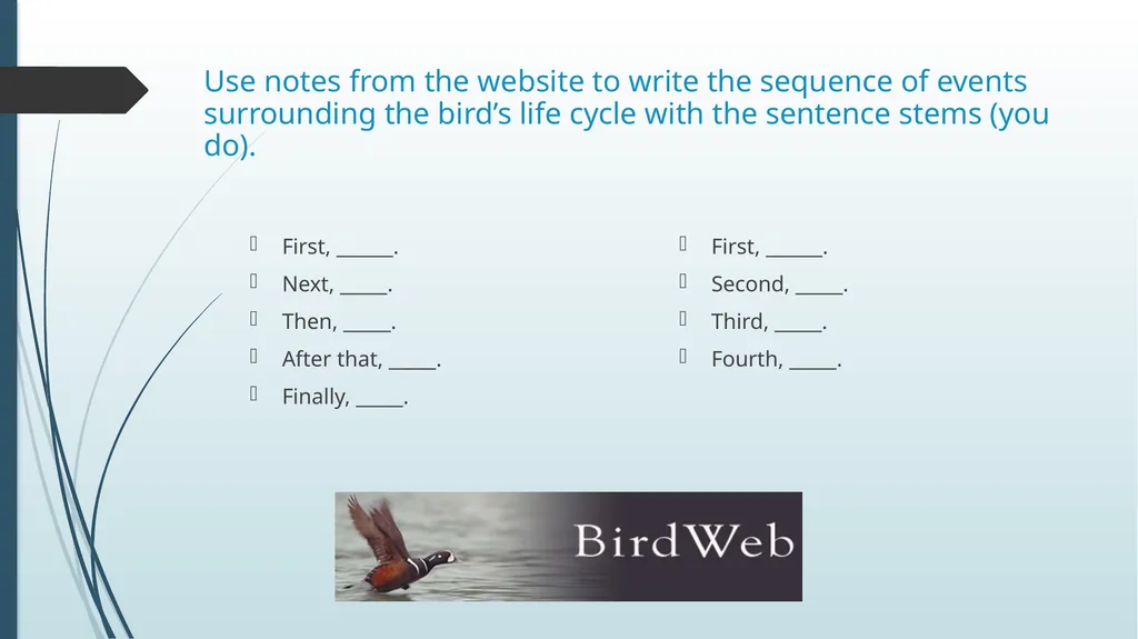 What makes a bird a native species? Write your - slide 8 of 17