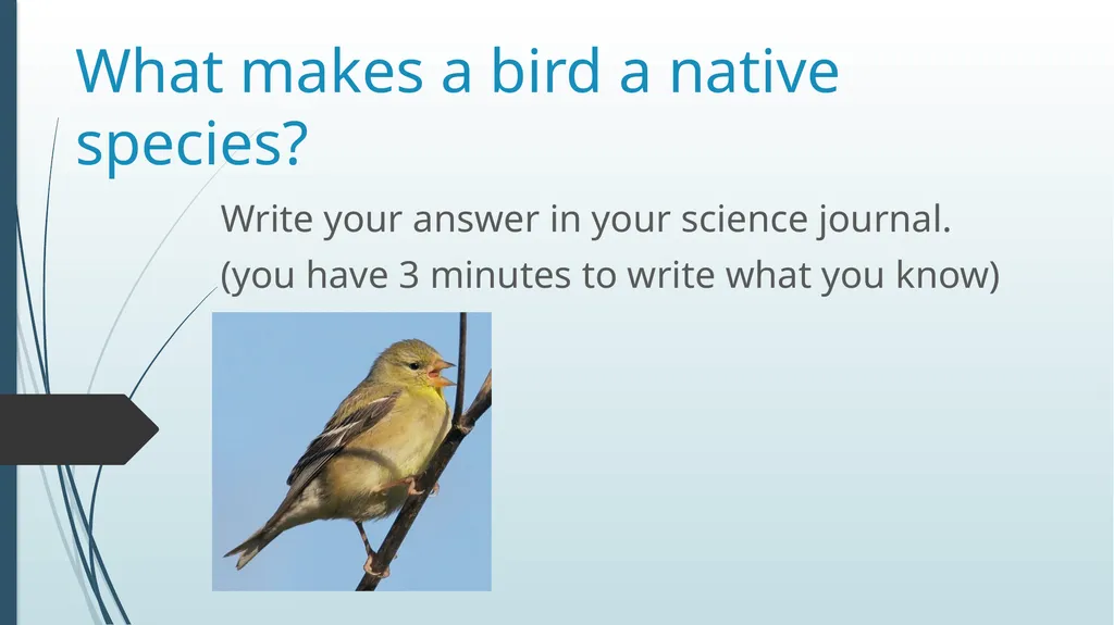 What makes a bird a native species? Write your - slide 1 of 17
