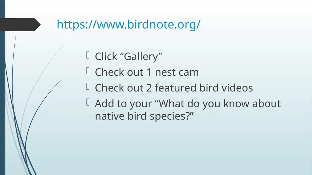 What makes a bird a native species? Write your - slide 2 of 17
