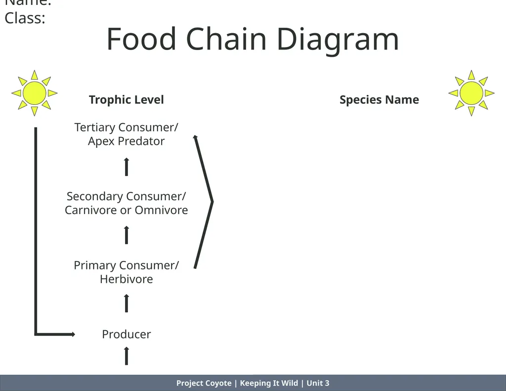 Project Coyote | Keeping It Wild | Unit 3 Food - slide 2 of 8