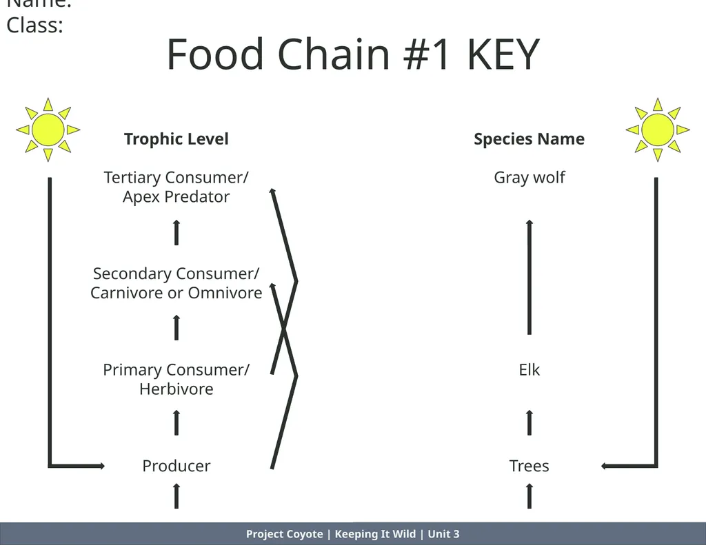 Project Coyote | Keeping It Wild | Unit 3 Food - slide 3 of 8
