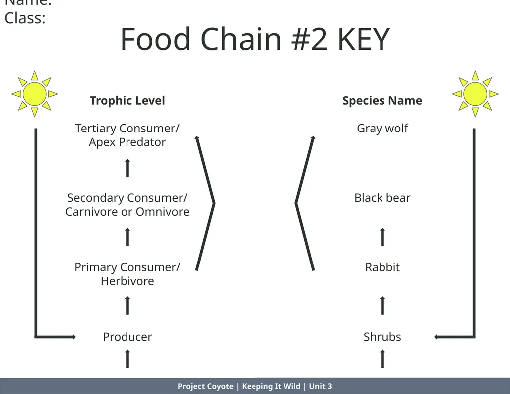 Project Coyote | Keeping It Wild | Unit 3 Food - slide 4 of 8