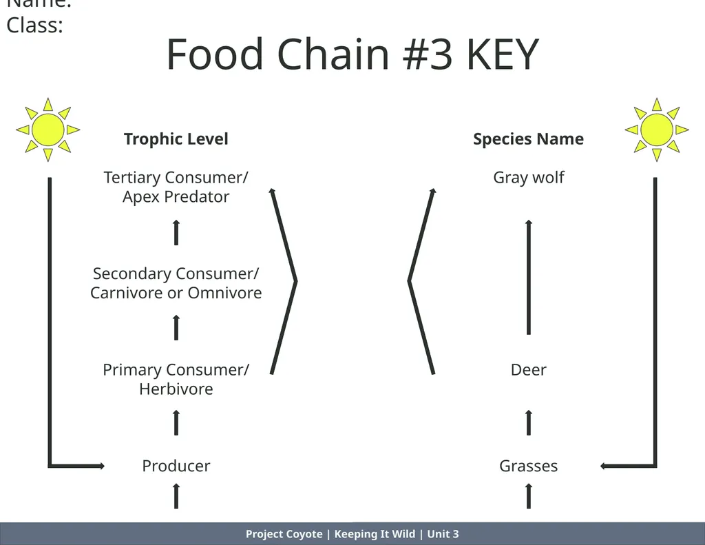 Project Coyote | Keeping It Wild | Unit 3 Food - slide 5 of 8