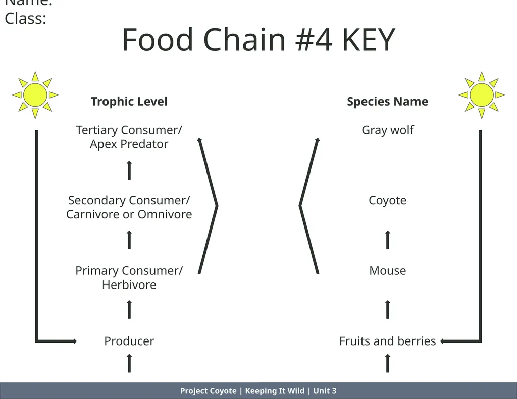 Project Coyote | Keeping It Wild | Unit 3 Food - slide 6 of 8