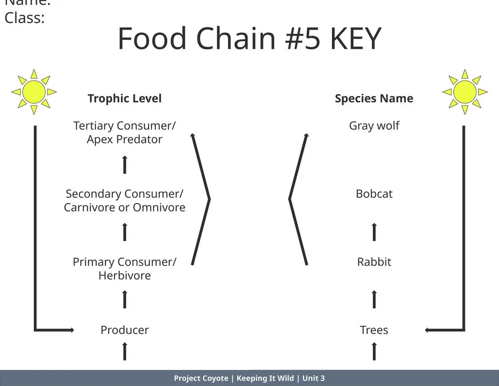 Project Coyote | Keeping It Wild | Unit 3 Food - slide 7 of 8