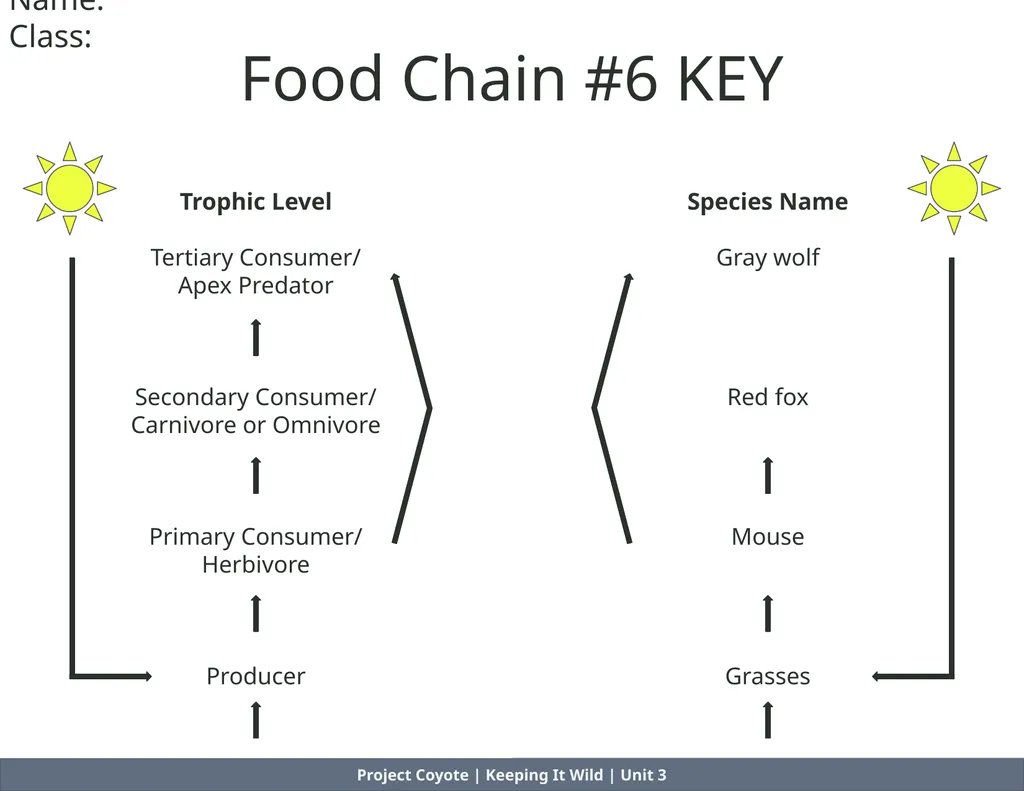 Project Coyote | Keeping It Wild | Unit 3 Food - slide 8 of 8