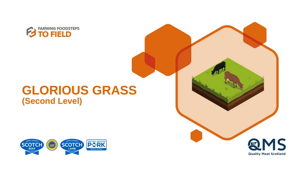 GLORIOUS GRASS (Second Level) This presentation - slide 1 of 19
