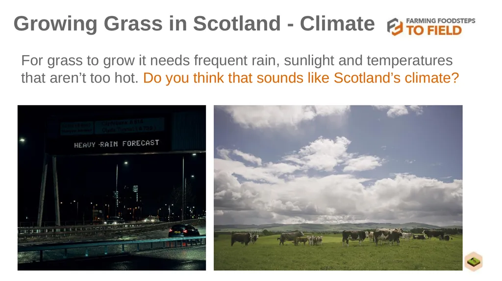 GLORIOUS GRASS (Second Level) This presentation - slide 6 of 19