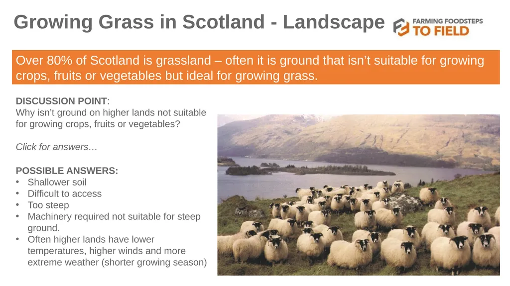 GLORIOUS GRASS (Second Level) This presentation - slide 8 of 19