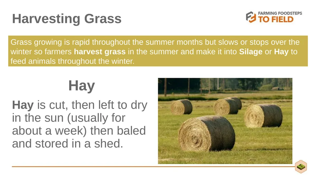 GLORIOUS GRASS (Second Level) This presentation - slide 10 of 19