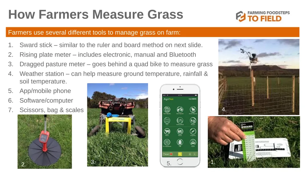 GLORIOUS GRASS (Second Level) This presentation - slide 13 of 19