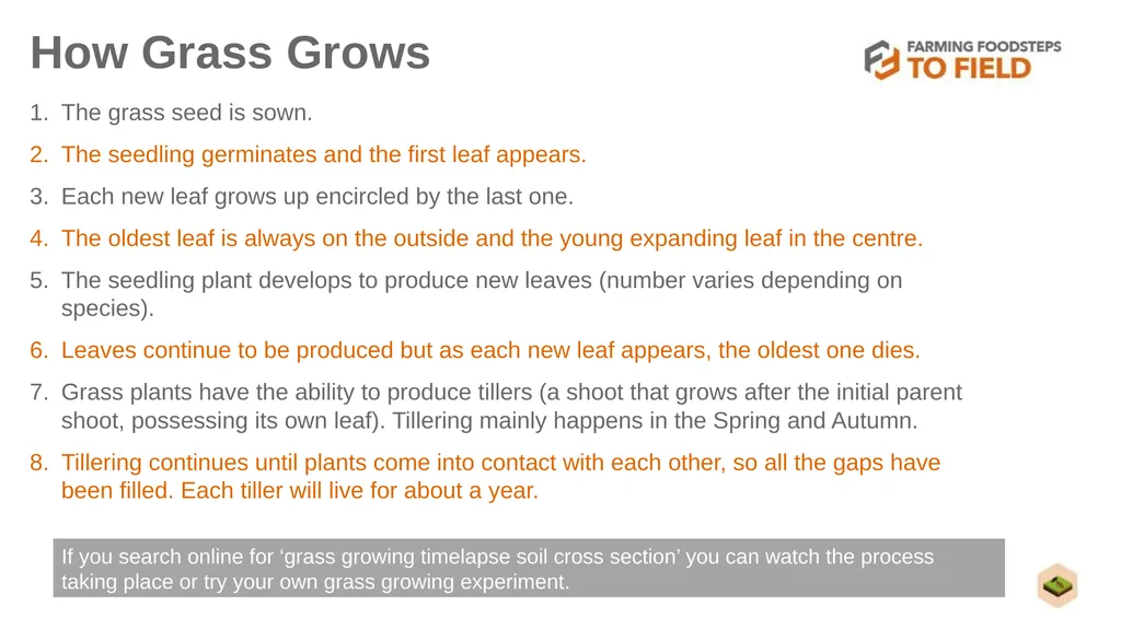 GLORIOUS GRASS (Second Level) This presentation - slide 9 of 19