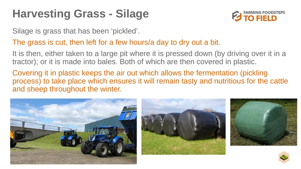 GLORIOUS GRASS (Second Level) This presentation - slide 11 of 19