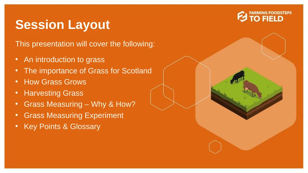 GLORIOUS GRASS (Second Level) This presentation - slide 2 of 19