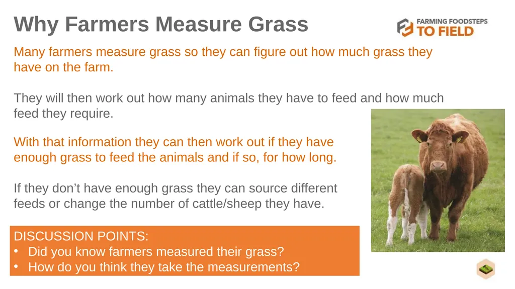 GLORIOUS GRASS (Second Level) This presentation - slide 12 of 19