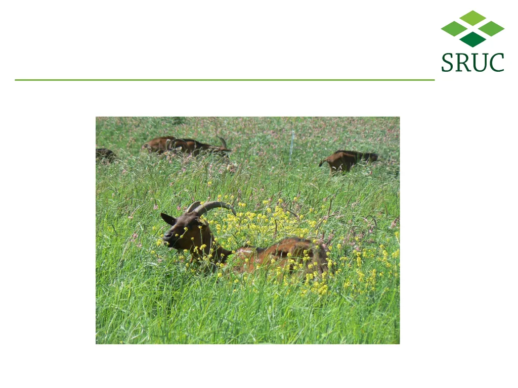 Tackling the parasitological challenges arising - slide 19 of 19