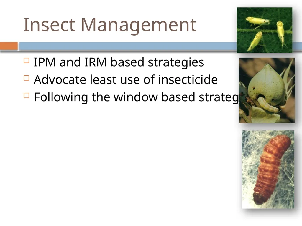 Best Management Practices (BMP’s) Blaise Desouza - slide 12 of 14